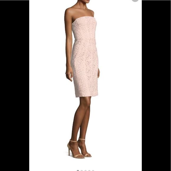 Corded Lace Sheath J. Mendel  color Blush - Picture 2 of 10